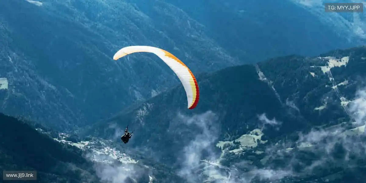 🌟 赛事策划，专业打造专属体育盛宴！